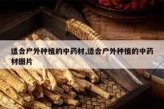 <b>�ʺϻ�����ֲ����ҩ��,�ʺϻ�����ֲ����ҩ��ͼƬ</b>