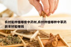 <b>ũ������ֲ��Щ��ҩ��,ũ����ֲ�����в�ҩǰ������׬Ǯ</b>