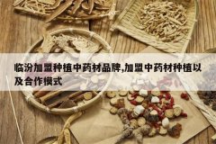 <b>�ٷڼ�����ֲ��ҩ��Ʒ��,������ҩ����ֲ�Լ�����ģʽ</b>