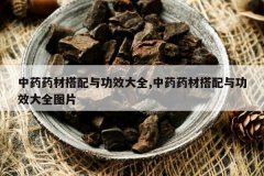 <b>��ҩҩ�Ĵ����빦Ч��ȫ,��ҩҩ�Ĵ����빦Ч��ȫͼƬ</b>