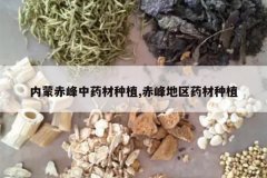 <b>���ɳ����ҩ����ֲ,������ҩ����ֲ</b>