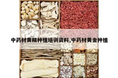 <b>��ҩ�Ļƾ���ֲ��ѵ����,��ҩ�Ļƽ���ֲ</b>