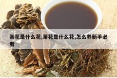 <b>�軨��ʲô��,�軨��ʲô��,��ô�����ֱؿ�</b>