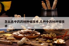 <b>��ôѡ��ҩҩ����ֲ����,������ҩ����ֲ����</b>