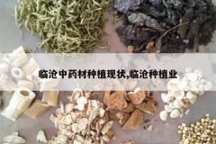 <b>�ٲ���ҩ����ֲ��״,�ٲ���ֲҵ</b>