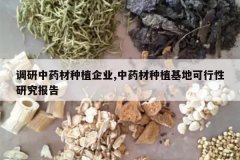 <b>������ҩ����ֲ��ҵ,��ҩ����ֲ���ؿ������о�����</b>