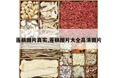 <b>��źͼƬ��ʵ,��źͼƬ��ȫ����ͼƬ</b>