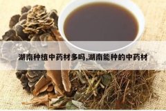 <b>������ֲ��ҩ�Ķ���,�������ֵ���ҩ��</b>