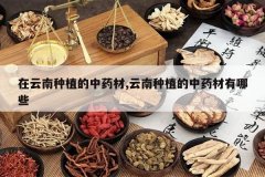 <b>��������ֲ����ҩ��,������ֲ����ҩ������Щ</b>