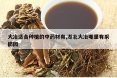 <b>��ұ�ʺ���ֲ����ҩ����,������ұ�����в�ժ԰</b>