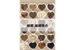 <b>����,������</b>