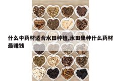 <b>ʲô��ҩ���ʺ�ˮ����ֲ,ˮ������ʲôҩ����׬Ǯ</b>