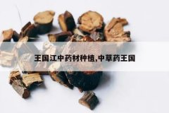 <b>��������ҩ����ֲ,�в�ҩ����</b>