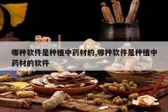 <b>������������ֲ��ҩ�ĵ�,������������ֲ��ҩ�ĵ�����</b>