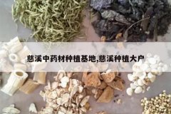 <b>��Ϫ��ҩ����ֲ����,��Ϫ��ֲ��</b>