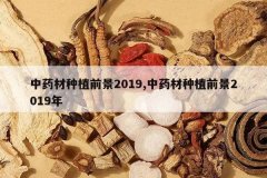 <b>��ҩ����ֲǰ��2019,��ҩ����ֲǰ��2019��</b>