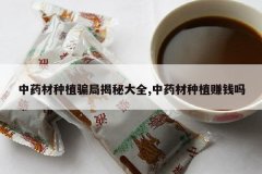 <b>��ҩ����ֲƭ�ֽ��ش�ȫ,��ҩ����ֲ׬Ǯ��</b>