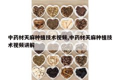 <b>��ҩ��������ֲ������Ƶ,��ҩ��������ֲ������Ƶ����</b>