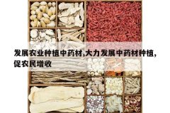 <b>��չũҵ��ֲ��ҩ��,������չ��ҩ����ֲ,��ũ������</b>