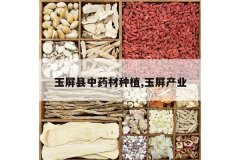 <b>��������ҩ����ֲ,������ҵ</b>