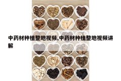 <b>��ҩ����ֲ������Ƶ,��ҩ����ֲ������Ƶ����</b>