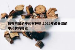 <b>����ǰ������ҩ����ֲ,2023��ر��ǵ���ҩ������Щ</b>