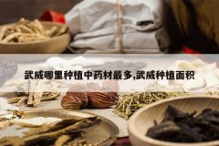 <b>����������ֲ��ҩ�����,������ֲ���</b>