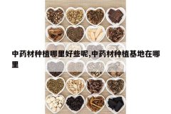 <b>��ҩ����ֲ�����Щ��,��ҩ����ֲ����������</b>