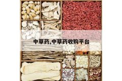 <b>�в�ҩ,�в�ҩ�չ�ƽ̨</b>