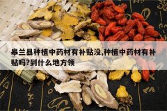 <b>��������ֲ��ҩ���в���û,��ֲ��ҩ���в�����?��ʲô�ط���</b>