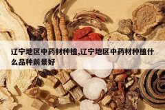 <b>����������ҩ����ֲ,����������ҩ����ֲʲôƷ��ǰ����</b>