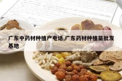 <b>�㶫��ҩ����ֲ���绰,�㶫ҩ����ֲ����������</b>