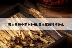 <b>����������ҩ����ֲ,����������ֲʲô</b>