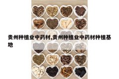 <b>������ֲҵ��ҩ��,������ֲҵ��ҩ����ֲ����</b>