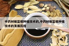 <b>��ҩ�İ�������ֲ������,��ҩ�İ�������ֲ�����ķ�չ����</b>