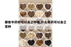 <b>��Щ��ҩ�Ŀ����Լ���ֲ,ʲô��ҩ�����Լ�����</b>