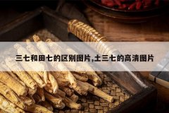 <b>���ߺ����ߵ�����ͼƬ,�����ߵĸ���ͼƬ</b>