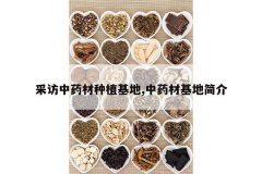 <b>�ɷ���ҩ����ֲ����,��ҩ�Ļ��ؼ��</b>