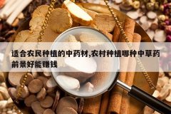 <b>�ʺ�ũ����ֲ����ҩ��,ũ����ֲ�����в�ҩǰ������׬Ǯ</b>