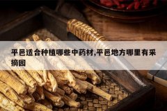 <b>ƽ���ʺ���ֲ��Щ��ҩ��,ƽ�صط������в�ժ԰</b>