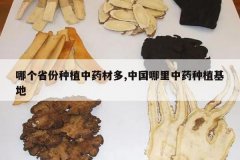 <b>�ĸ�ʡ����ֲ��ҩ�Ķ�,�й�������ҩ��ֲ����</b>