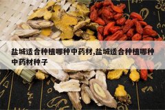 <b>�γ��ʺ���ֲ������ҩ��,�γ��ʺ���ֲ������ҩ������</b>