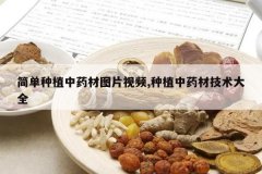 <b>����ֲ��ҩ��ͼƬ��Ƶ,��ֲ��ҩ�ļ�����ȫ</b>