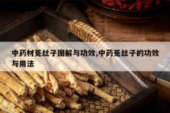 <b>��ҩ����˿��ͼ���빦Ч,��ҩ��˿�ӵĹ�Ч���÷�</b>