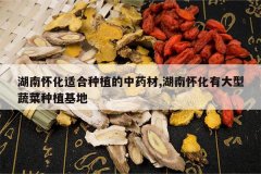 <b>���ϻ����ʺ���ֲ����ҩ��,���ϻ����д����߲���ֲ����</b>