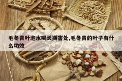 <b>ë����Ҷ��ˮ�ȳ��ں���,ë�����Ҷ����ʲô��Ч</b>