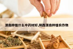 <b>μ����ֲʲô��ҩ�ĺ�,����μ����ֲũ����</b>