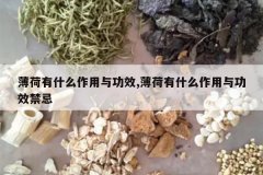 <b>������ʲô�����빦Ч,������ʲô�����빦Ч����</b>