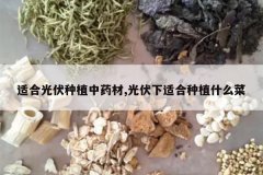 <b>�ʺϹ����ֲ��ҩ��,������ʺ���ֲʲô��</b>