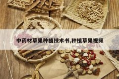 <b>��ҩ�Ĳݹ���ֲ������,��ֲ�ݹ���Ƶ</b>